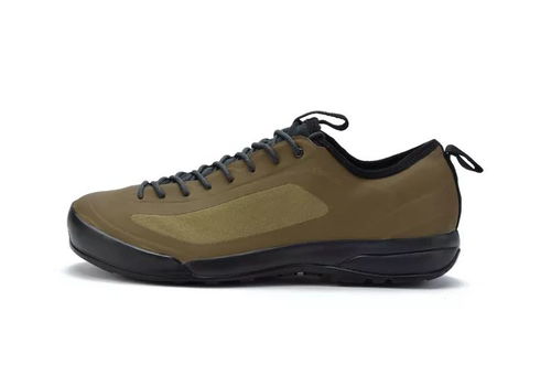 鳥鞋新色煥新登場 極致體驗，悅享足下風采